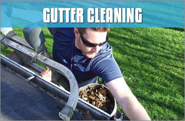 Gutter Cleaning